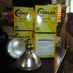 Tesler Halogen/65W/Par38/Flood Bulb